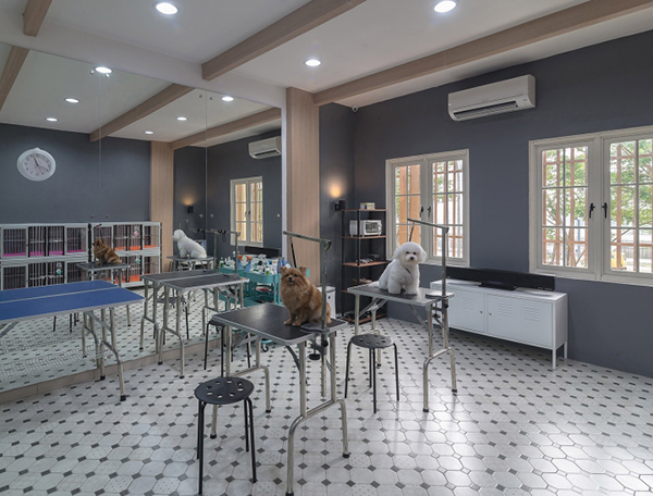 咖啡館寵物店裝修注意事項(xiàng)？